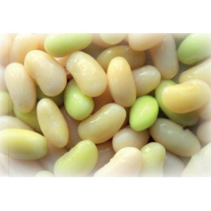 Mogettes de Vendée demi-sèches (haricot) PS