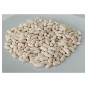 Haricot blanc BIO, précuit PS
