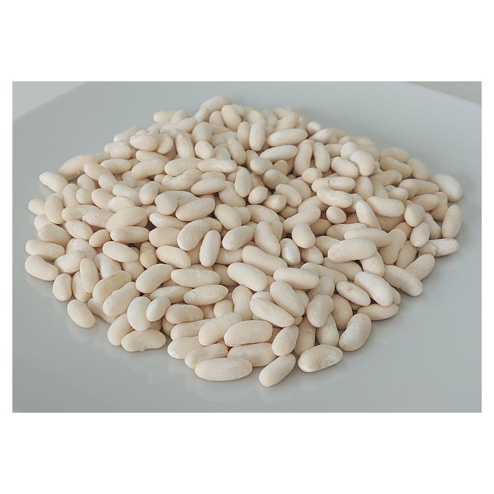 Haricot blanc BIO, précuit PS