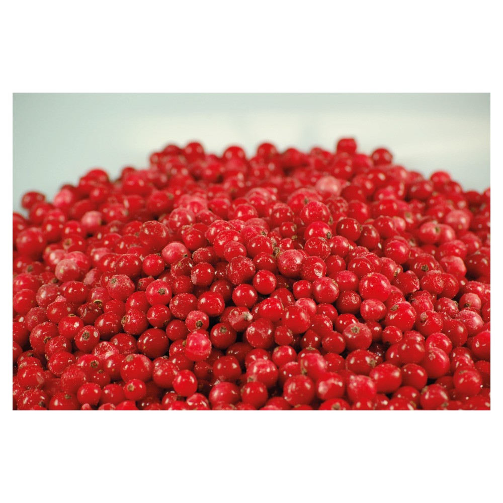 Groseilles rouges PS