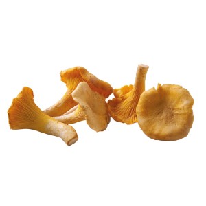 Chanterelles blanchies surgelées