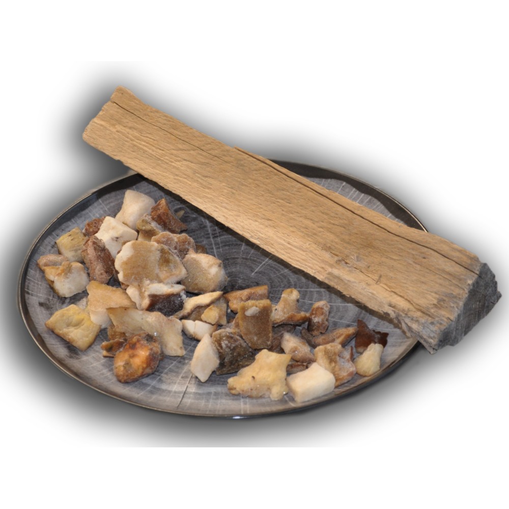 ESPAGNE Mélange de champignons PS
