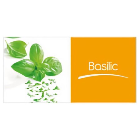 Basilic PS