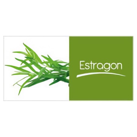 Estragon (250gr) PS