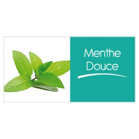 Menthe PS