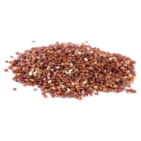 Quinoa Rouge précuit PS