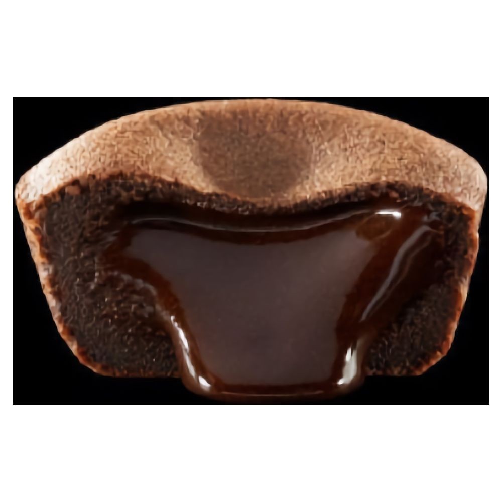 Mini Fondant au chocolat (40x36 gr) PS