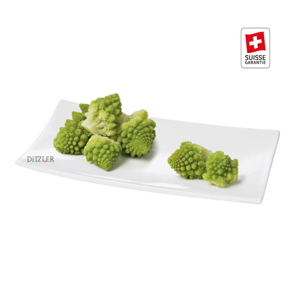 SUISSE GARANTIE Romanesco 20-40 PS
