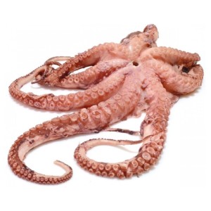 Poulpe, PN (env.1.6kg - 1.8 kg) PV PS