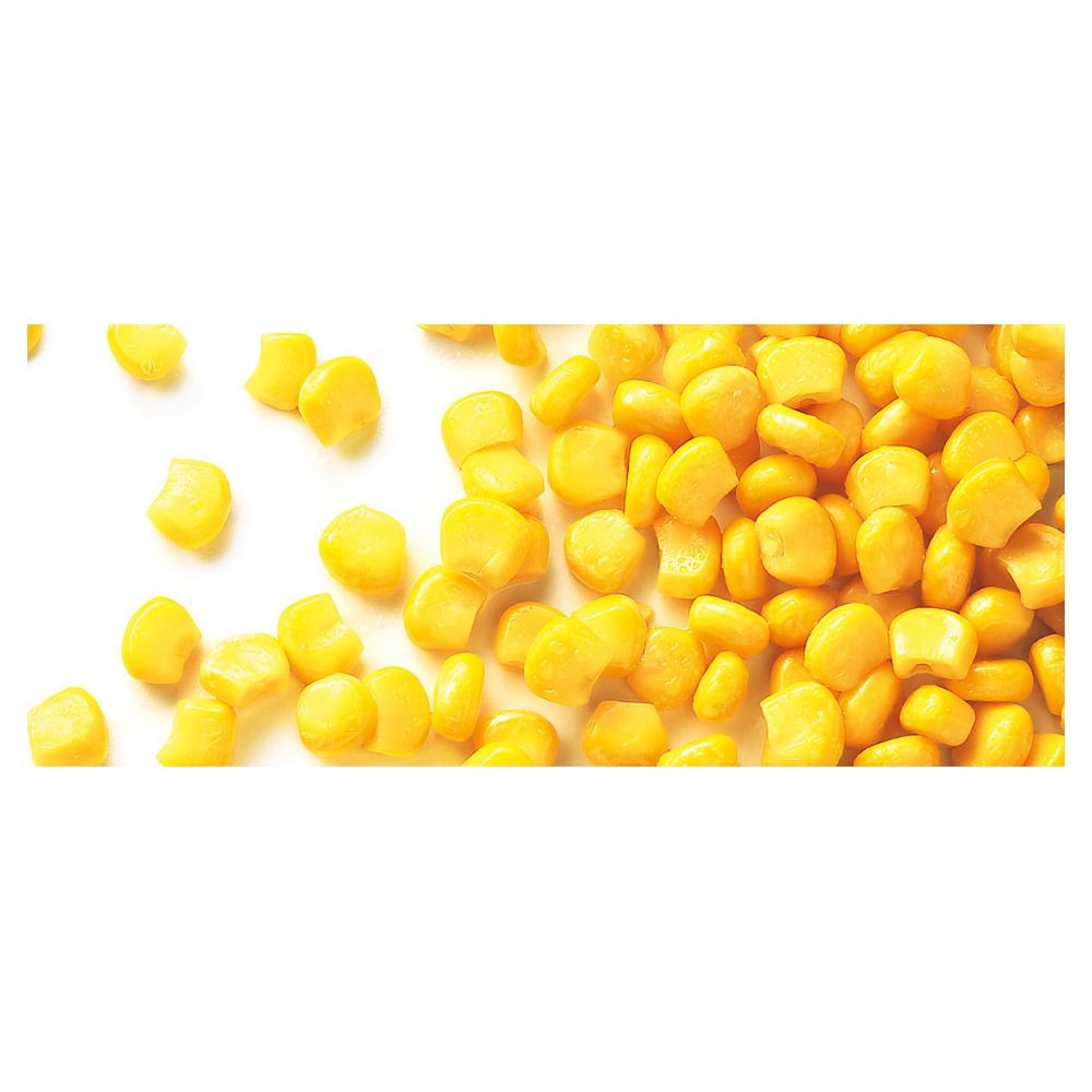 BIO Maïs en grains PS