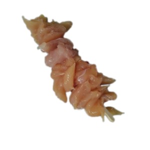 FRANCE Brochettes de poulet (poitrine)140/160gr PS