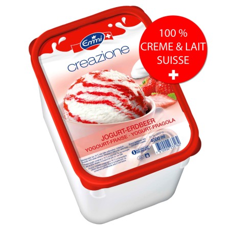 Creazione Yogourt-fraise (4 lt) PS-A