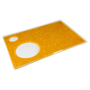 Compotée/insert de fruits exotiques en plaque PS