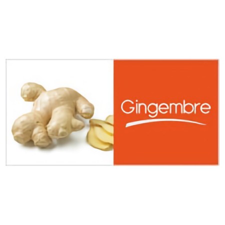 Gingembre mini-tablettes PS