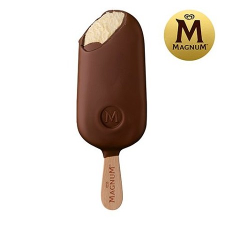 Magnum Classic (20x110 ml)