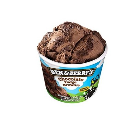 BEN&JERRY'S Fudge Brownie (100 ml) PS