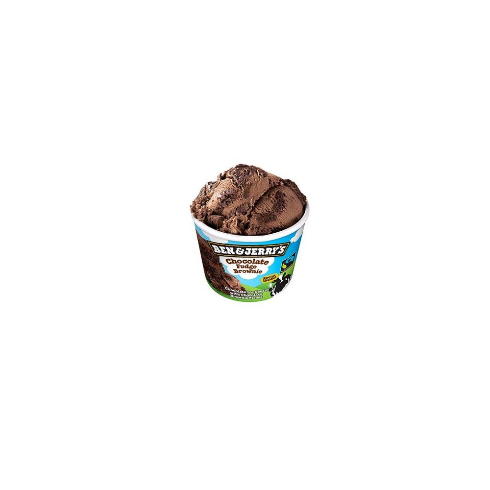 BEN&JERRY'S Fudge Brownie (100 ml)