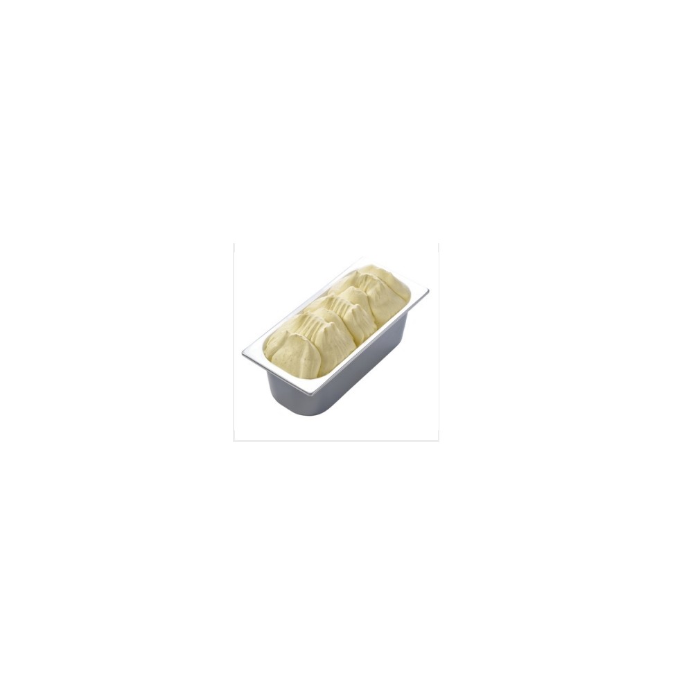 CARTE D'OR Gelateria VANILLE (1x5,5 lt) PS