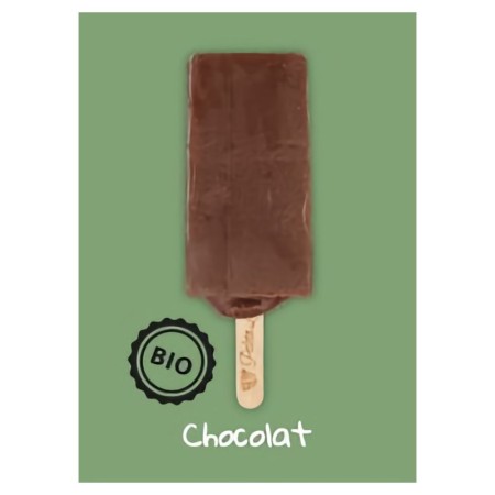 Paleta Loca Glace Chocolat s/lactose (25x80 ml) PS