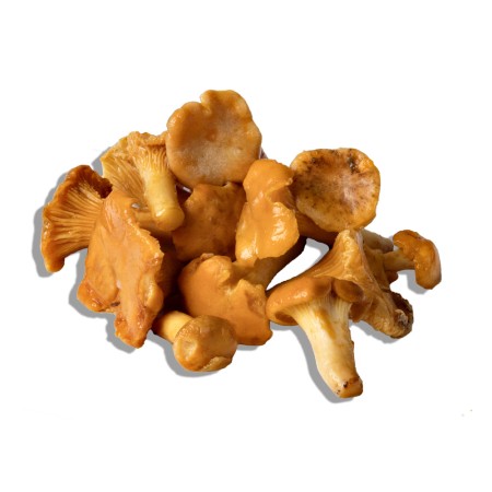 Chanterelles