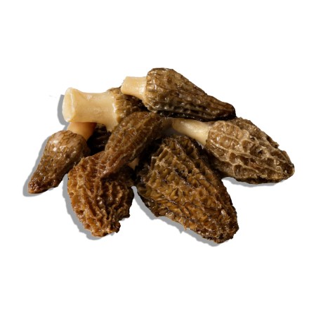 Morilles PS