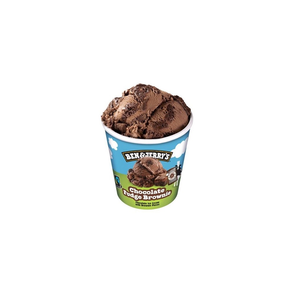 BEN&JERRY'S Fudge Brownie (8x465 ml) PS