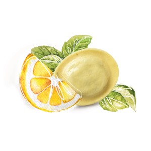 Rondelli limone basilico PS