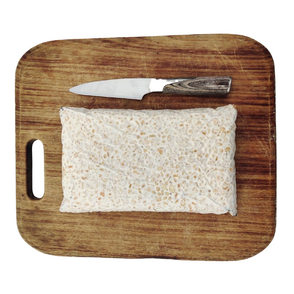 Tempeh Pois Chiches BIO en BLOC 1 kg PS