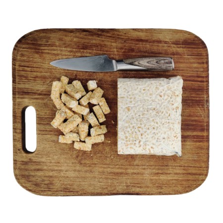 Tempeh Pois Chiches BIO en BLOC 1 kg PS