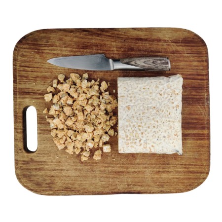 Tempeh Pois Chiches BIO en BLOC 1 kg PS