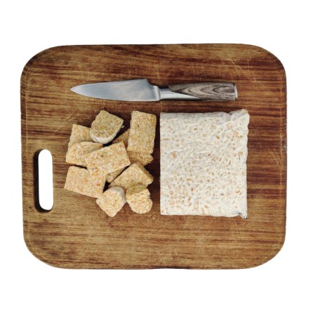 Tempeh Pois Chiches BIO en BLOC 1 kg PS