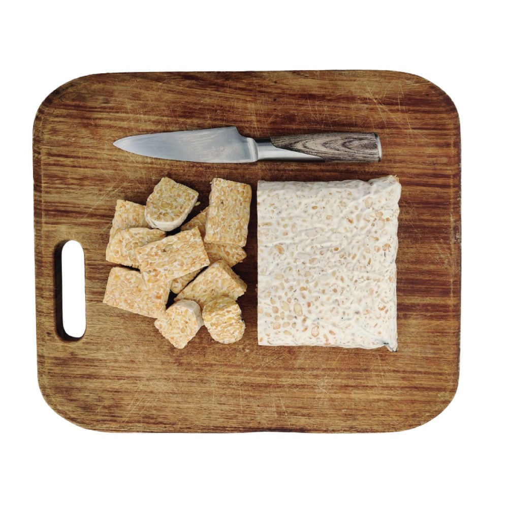 Tempeh Pois Chiches BIO en BLOC 1 kg PS