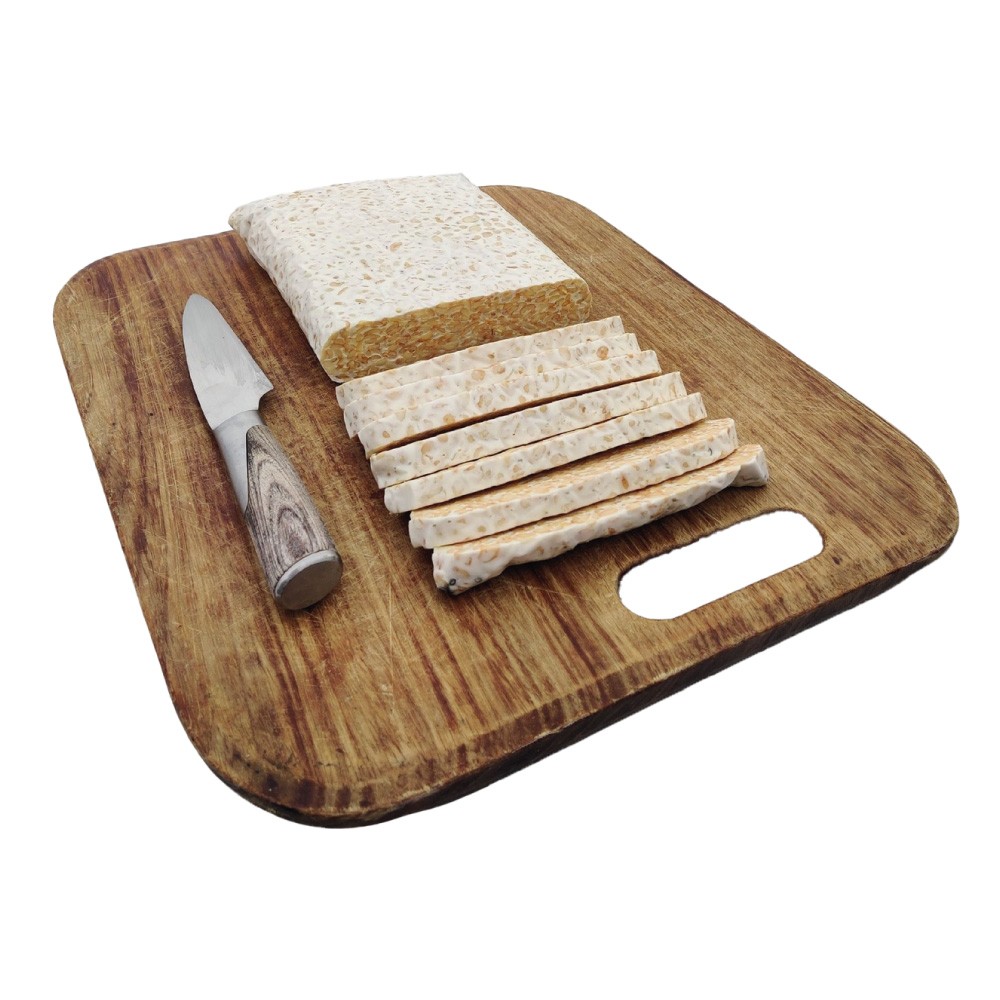 Tempeh Pois Chiches BIO en BLOC 1 kg PS