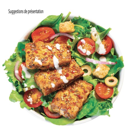 Tempeh Pois Chiches BIO en BLOC 1 kg PS