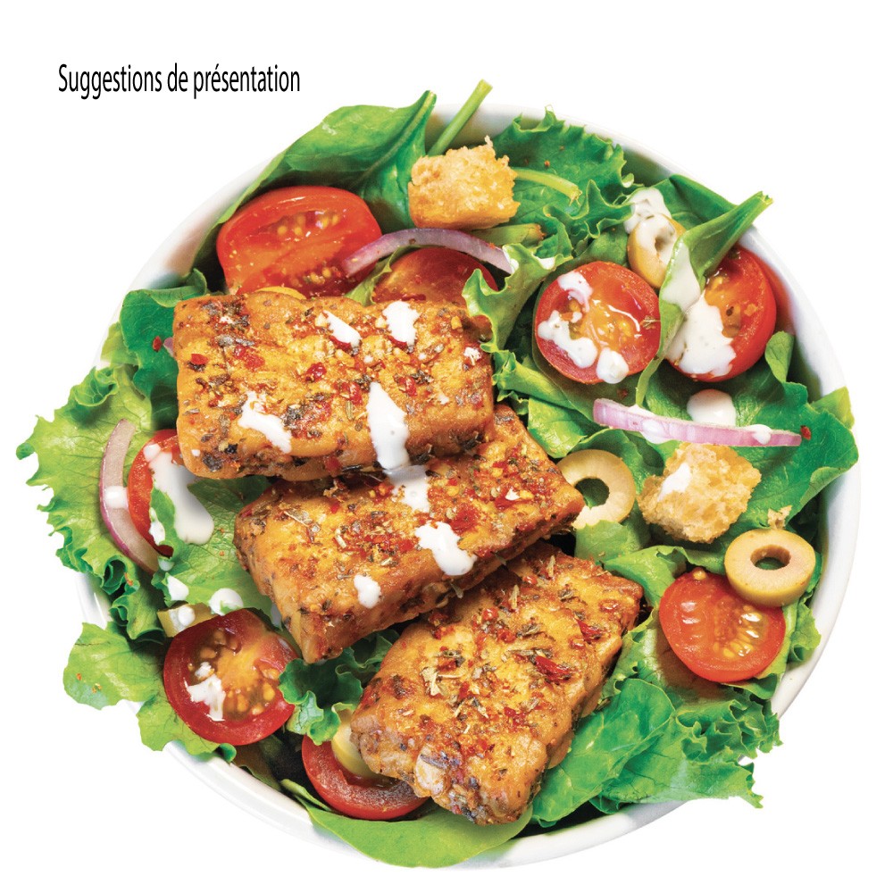 Tempeh Pois Chiches BIO en BLOC 1 kg PS