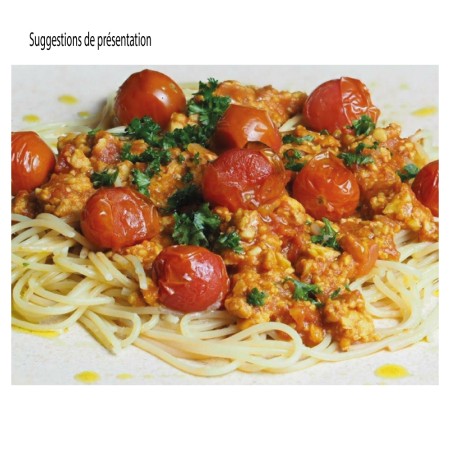 Tempeh Pois Chiches BIO en BLOC 1 kg PS