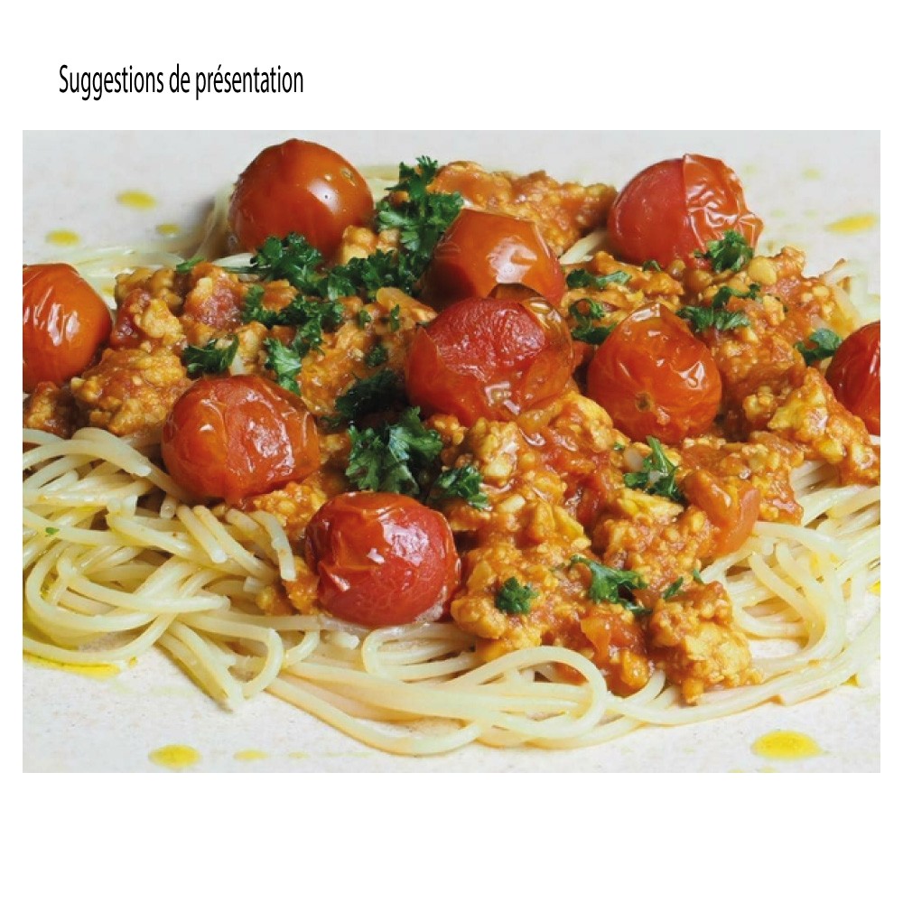 Tempeh Pois Chiches BIO en BLOC 1 kg PS