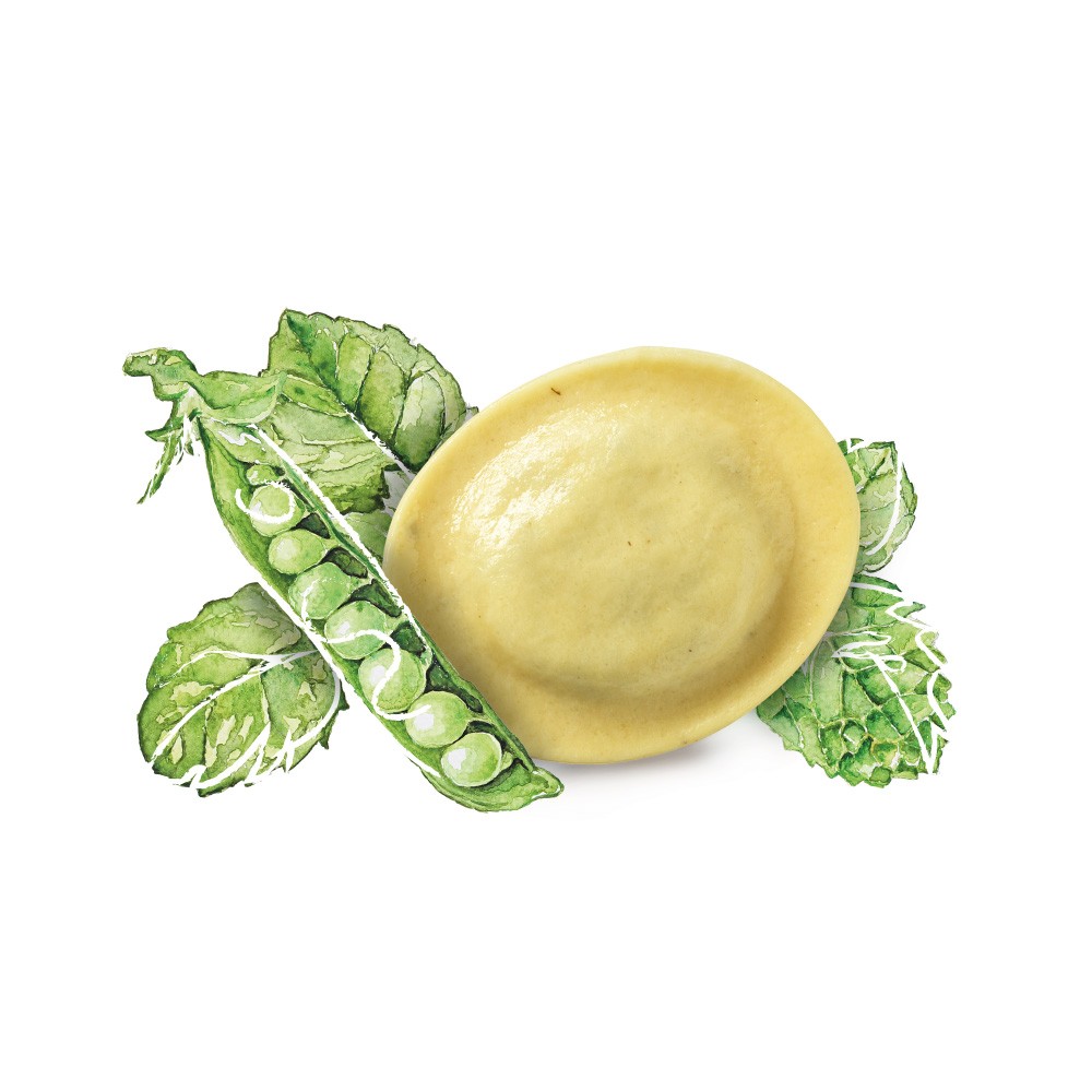 Rondelli pois-menthe PS-L