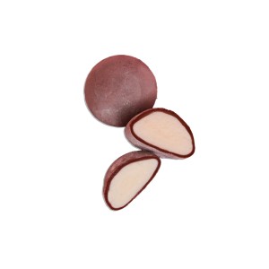 Mochis Chocolat Noix de Coco (24x35 gr) PS