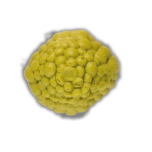 Petits pois à la française mixé (540 gr) PS