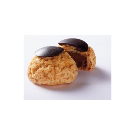 Mini Chou Chocolat (48x18 gr) PS