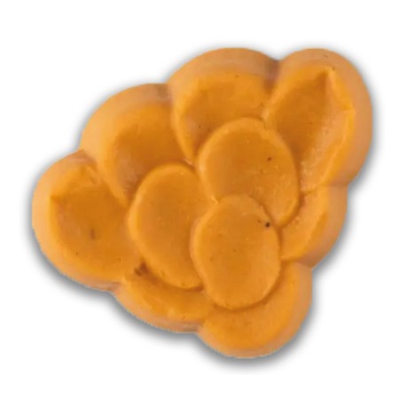 Courge à la provençale mixé IDDSI (540 gr) PS