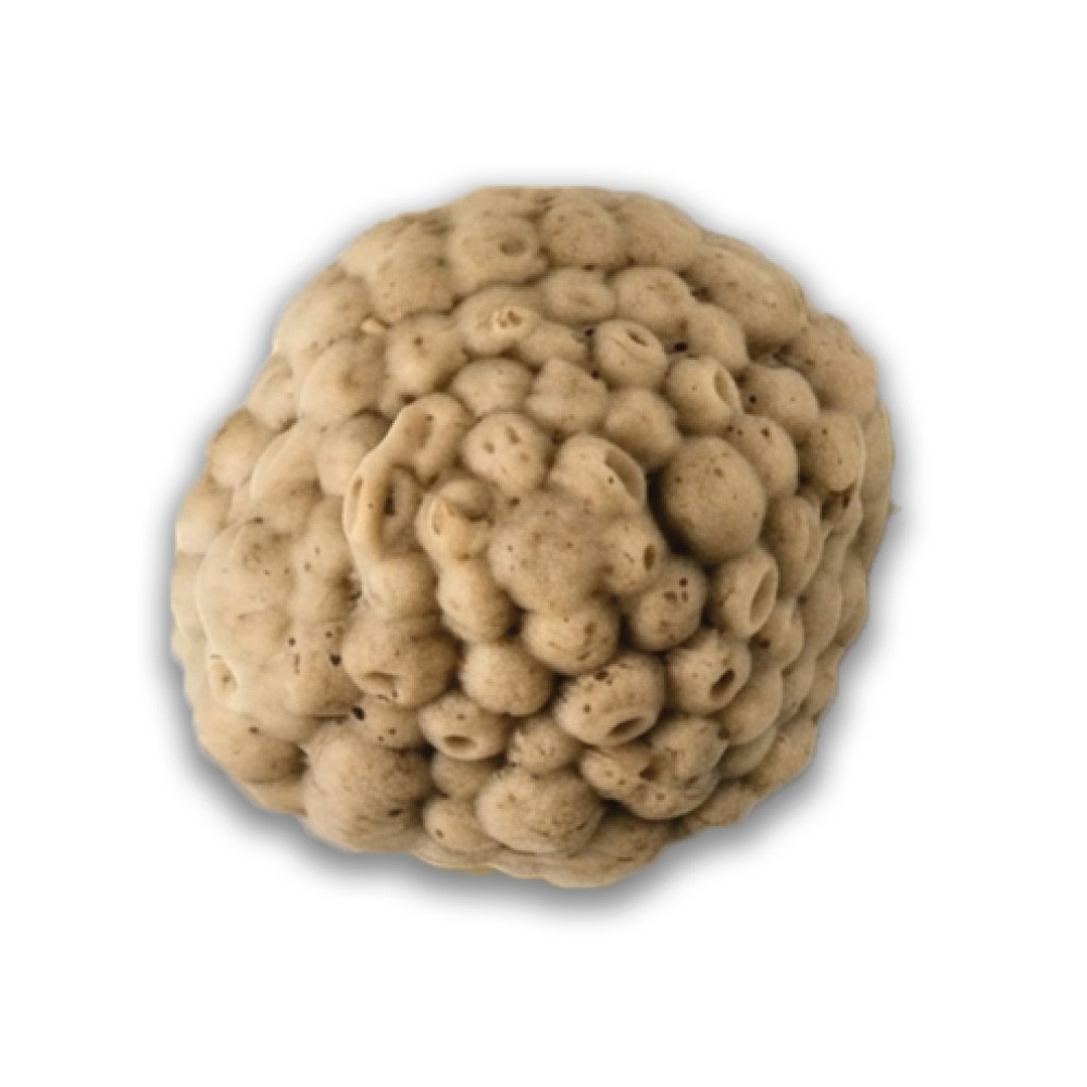 Champignons à la Grecque mixé IDDS (540 gr) PS