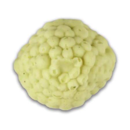 Gratin de légumes mixé IDDSI (540 gr) PS
