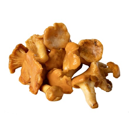 Chanterelles (petites)