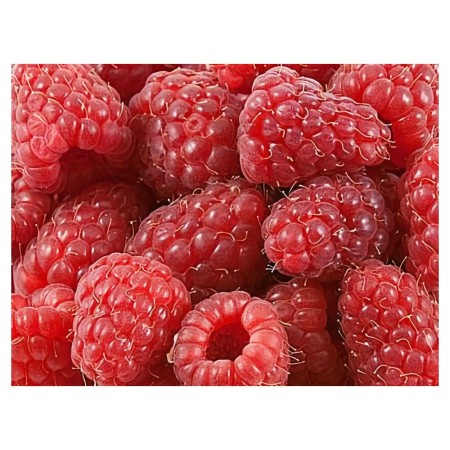 Framboises IQF